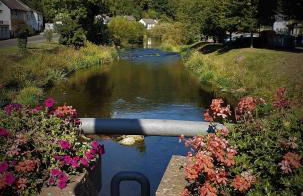 Familiehuis Dolve - Foto 53