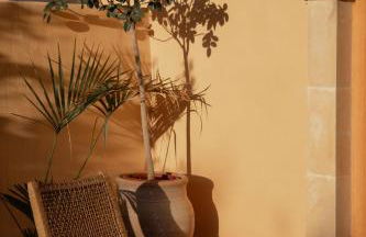 IUTA Glamping & Farm - Foto 80