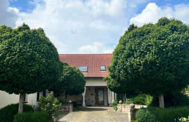 INDIGO Luna - Foto 11