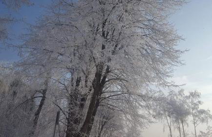 Staś -przy szkole nr 3 w Skawie - Foto 6