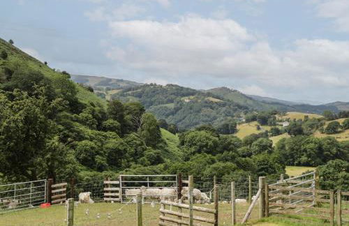 Tan Y Castell Shepherds Hut - Photo 15