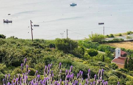 Villa Faros Vourkari Kea with private pool and stunning views - Foto 45