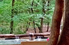 Agriturismo Parco dai Nonni - Foto 10