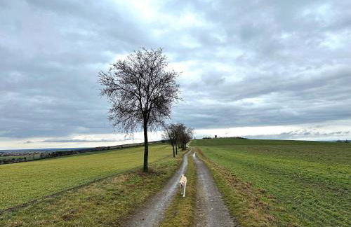 Ferienwohnung Dahlen mit familienfreundlichem Garten - Foto 35