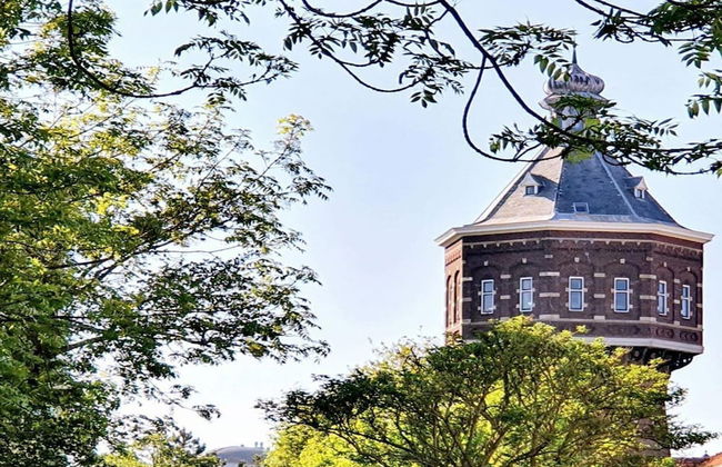 Holiday Home in Vlissingen With Garden - Photo 37