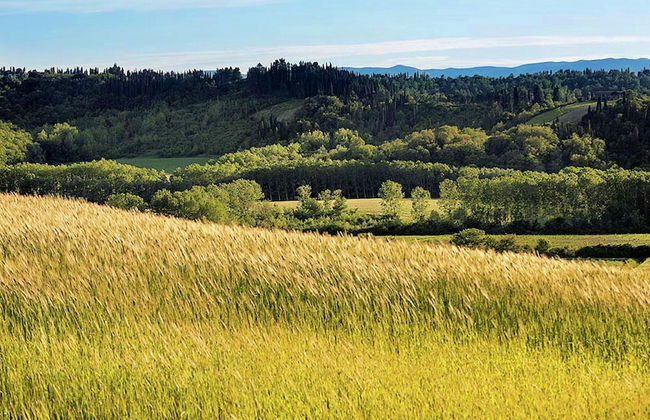 Spacious Tuscan Farmhouse - Foto 29