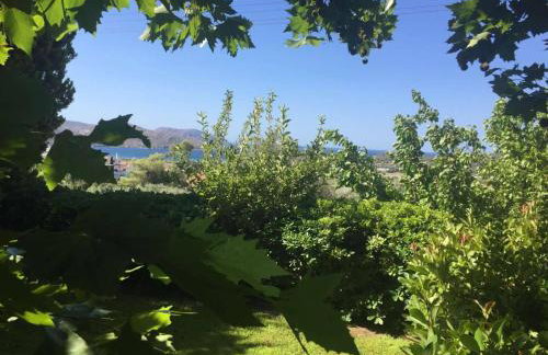 Platanus Gardenhouse - Foto 28