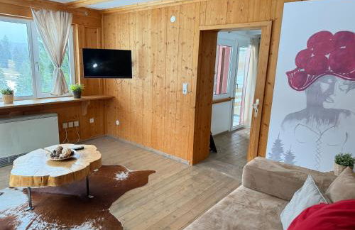 Mitten auf dem Feldberg Panorama Apartment Bergglück - Foto 18