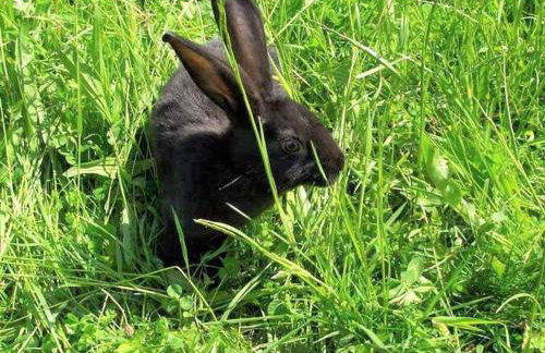 Ferienwohnung In der Ruhl - Photo 24