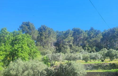 Le Mas Les Salamandres - Foto 8