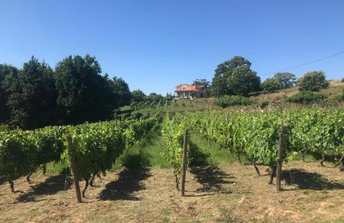 Quinta Casa do Retiro - Foto 24