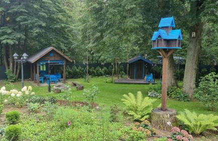 Niezapominajka - Foto 17