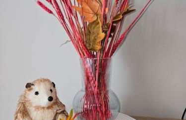 Tra Onde e Vette - Photo 9