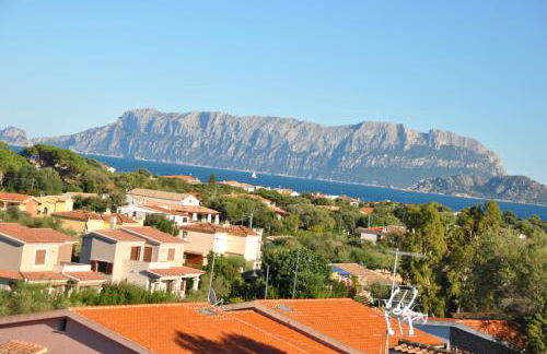 Sardegna Pittulongu - Photo 15