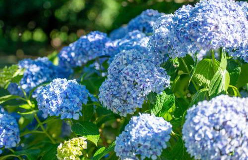 Recantos na Portela - Foto 20