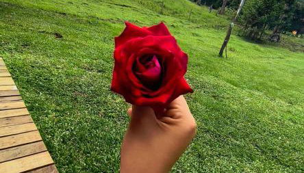 CABANA SERRA DA BALANÇA - Foto 4