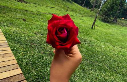 CABANA SERRA DA BALANÇA - Foto 4