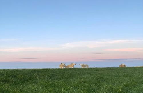 Träumeria - Foto 28