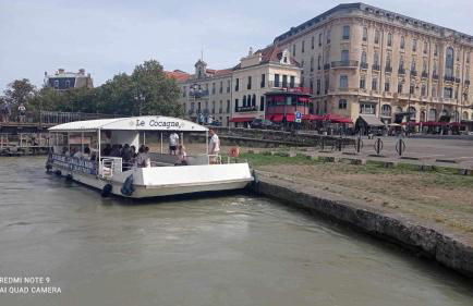 Gîte au pied de la Cité Médiévale - Le 127 - Foto 30