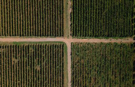 Villa Cavalletti - Foto 145