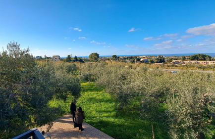 Villa Daniela Cefalù - Foto 50