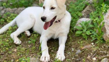 Spazio Luna - Photo 4