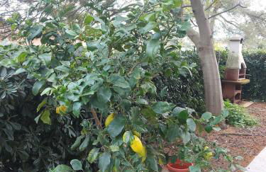 La Casina di Dudy - Foto 11