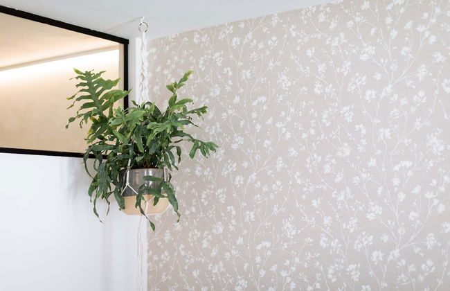 Urban Jungle Apartments - Photo 8