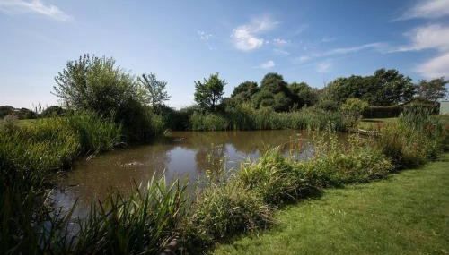 Rural cottage with swimming pool! - Foto 2