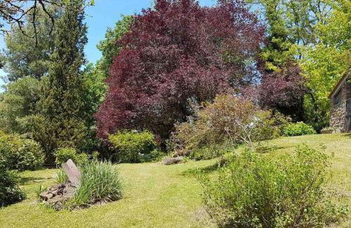 Antico Casale Umbro Casa Buganza - Foto 21