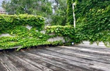 2 Rooftops 2 Car Garage 4 Stories - Foto 43