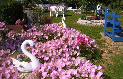 Verginia Studios - Photo 26