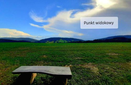 Osada Modrzewiowe Wzgórze Bieszczady - Foto 23