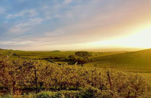 Naova Cosy Studio - Foto 33