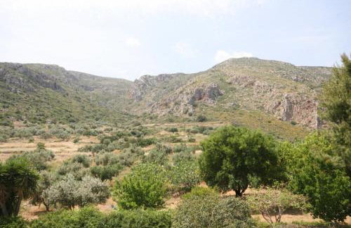 Venetia Apartments - Photo 38