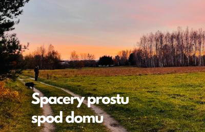 TATANKA Dom w Puszczy & SPA na Polanie - Foto 48