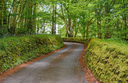 2 Bed in Advent oc-s6025 - Foto 25