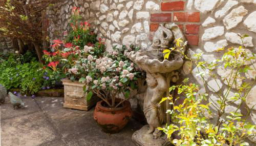 Bluebell Cottage - Norfolk Cottage Agency - Foto 3