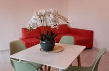 Casa Pereira - Foto 8