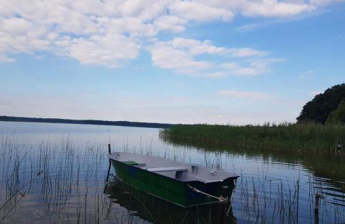 Siedlisko Jelonki - Foto 42