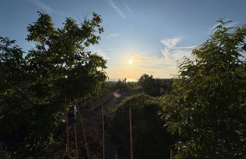 Villetta Ischitana - Terrazza con Giardino - Foto 79