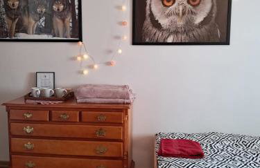 Dom Gościnny Sowia Stópka - Foto 70