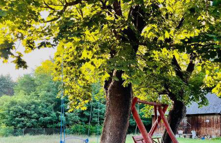Wiejski domek w środku lasu Osłowo Mielnik - Foto 5