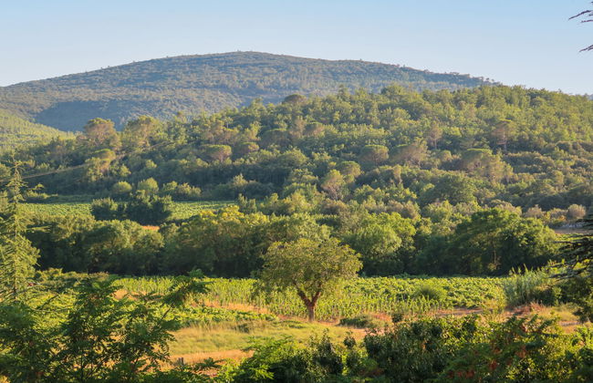 Le Bastidon - Photo 56