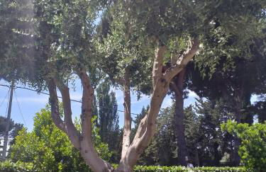 Villa Vittorio - Photo 34