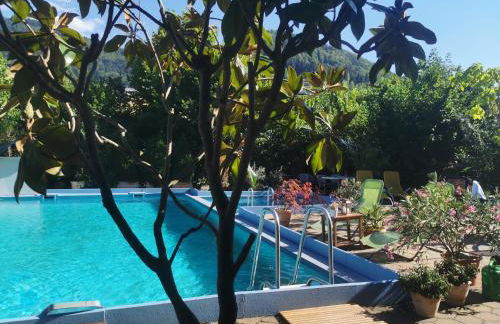 Ferienwohnung Vogelsang im Schwarzwald - Foto 1