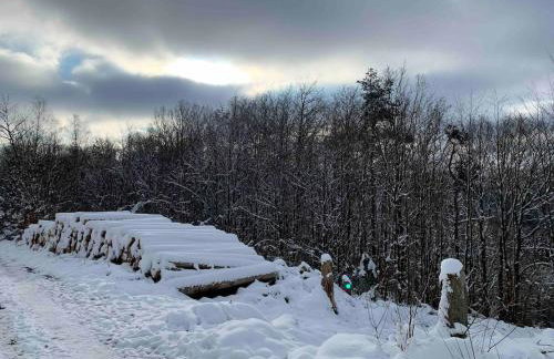 FeWo Wiehl-Marienhagen, Modern, ruhig, ländlich - Foto 35