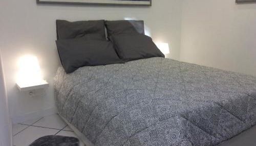 Les palmiers - Foto 4