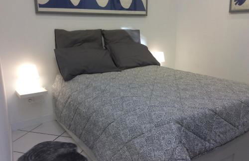 Les palmiers - Foto 4