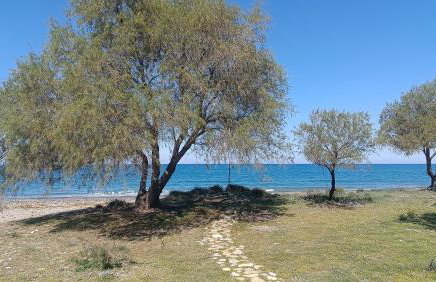 Relax Holiday Villa - Foto 6